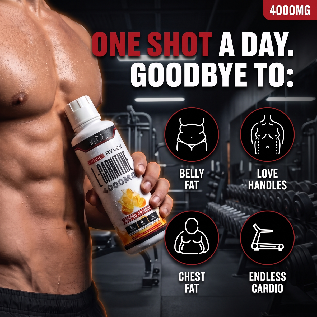 Liquid L-Carnitine 4000MG
